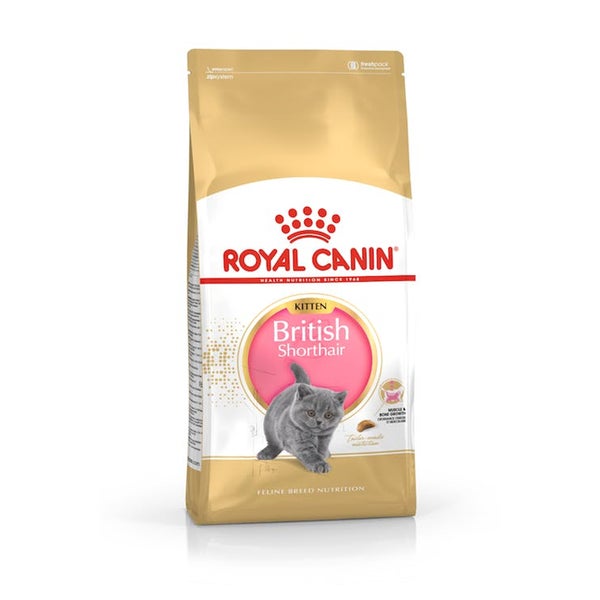 Royal Canin Feline Breed Nutrition British Shorthair Kitten 0,42 kg