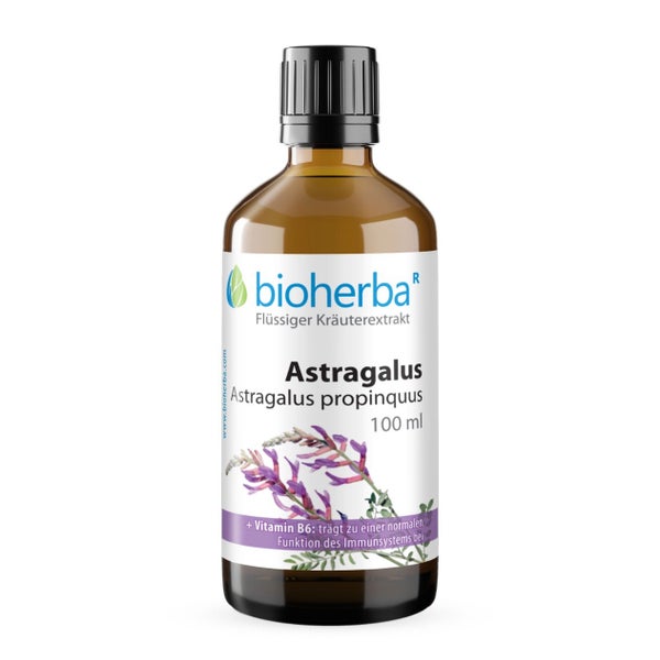 Astragalus Extrakt Tropfen 100 ml