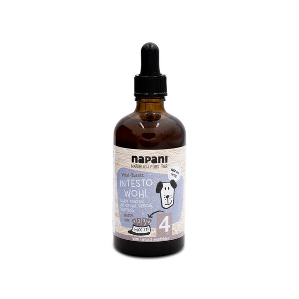 IntestoWohl Darm-Tinktur für Hunde 100 ml