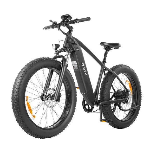 DYU King750 Elektrofahrrad für Erwachsene, 48V 20Ah Akku 1 St