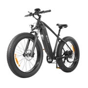 DYU King750 Elektrofahrrad für Erwachsene, 48V 20Ah Akku 1 St