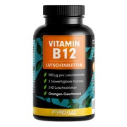 ProFuel - VITAMIN B12 Lutschtabletten 240 St