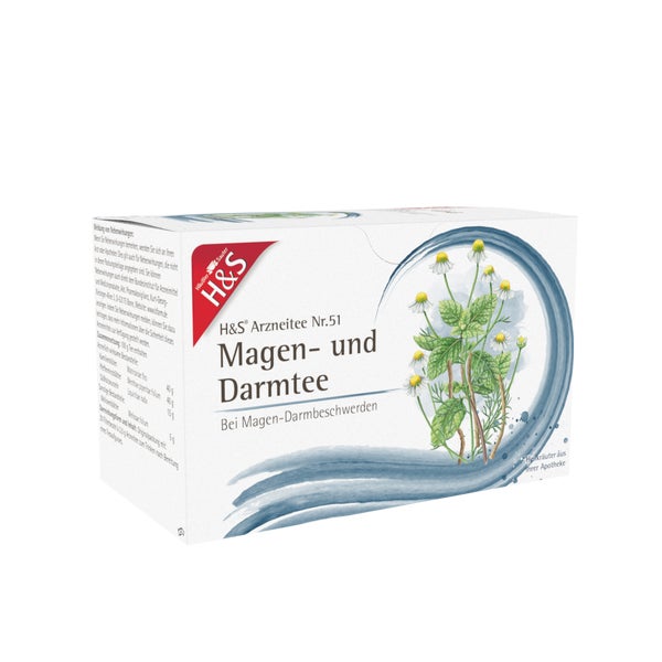 H&S Magen- und Darmtee Filterbeutel 20X2,0 g