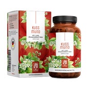 Lysin Komplex aus L-Lysin mit Selen und Zitronenmelisse KUSSMUND - 90 vegane Kapseln - NATURTREU® 90 St