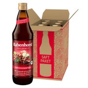 Rabenhorst Antioxidantien BIO 6x 700ml 4200 ml