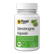 Raab Vitalfood Gerstengras Kapsel Bio 90 St