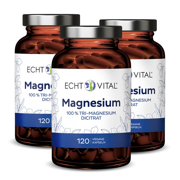 Echt Vital Magnesium - 3 Gläser 3x120 St