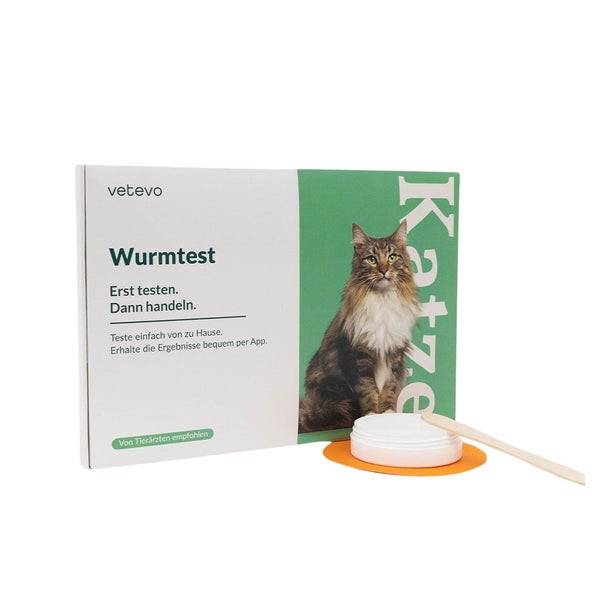 Giardientest Katze 1 St