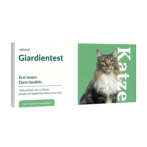Giardientest Katze 1 St