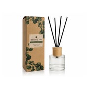 Accentra Raumduft Diffuser BOTANIC SPA Fir Tree & Spruce 100 ml