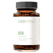 CBD VITAL Sternanis für Körper und Verdauung | Vegan 60 St