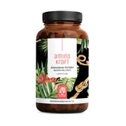 Aminosäuren Komplex - AMINOKRAFT - 540 hochdosierte vegane Kapseln - NATURTREU® 3 x 180 St