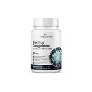 Produktabbildung: VitaSanum® Bacillus coagulans LactoSpore® – 150 mg Tagesportion – 60 Kapseln 60 St