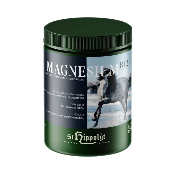 St. Hippolyt Magnesium B12 1 kg
