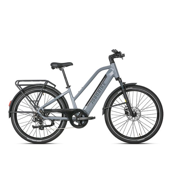 JOBOBIKE Astra Elektrofahrrad mit 36V 15Ah Akku,grau 1 St