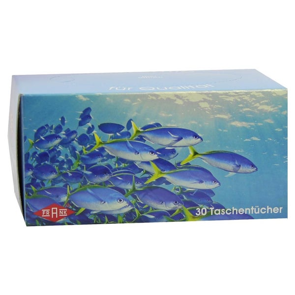 Taschentuchbox 30er 1 St