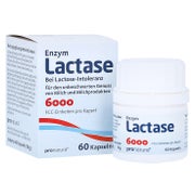Lactase 6.000 FCC Kapseln 60 St