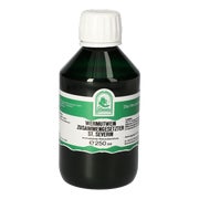 Wermutwein Zusammengesetzter St.severin 250 ml