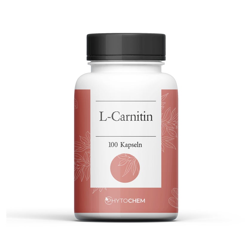l carnitin kaufen L-carnitin 500 mg Kapseln 100 St günstig kaufen