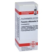 Paeonia Officinalis D 6 Globuli 10 g