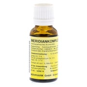 Meridiankomplex 12 Mischung 20 ml