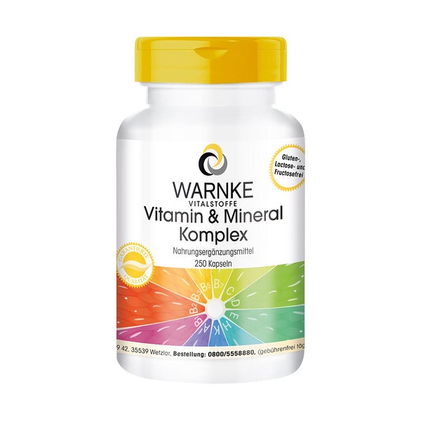 Vitamin & Mineral Komplex Kapseln 250 St