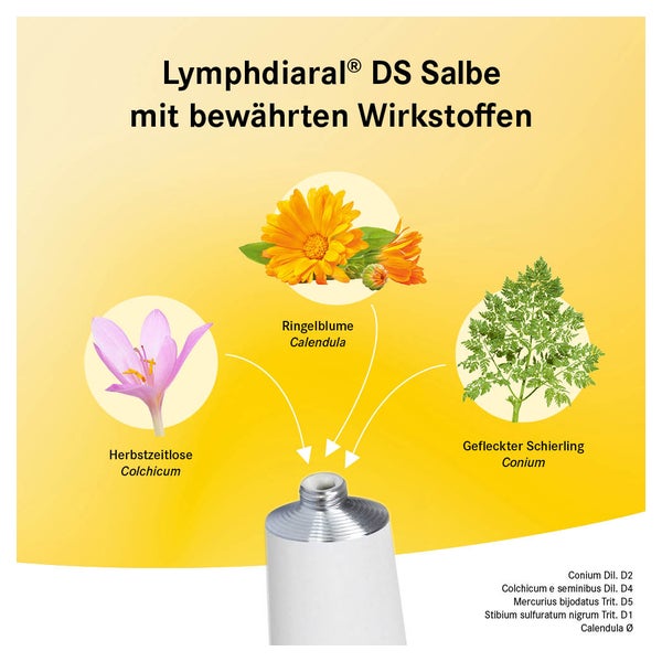 Erfahrungen zu Thuja Urtinktur 20 ml | medpex