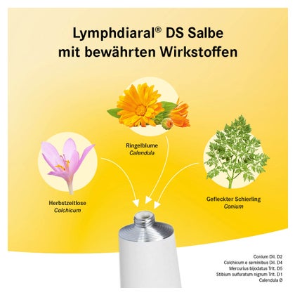 Erfahrungen zu Thuja Urtinktur 20 ml | medpex