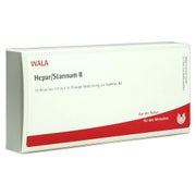 Produktabbildung: Hepar Stannum II Ampullen 10X1 ml