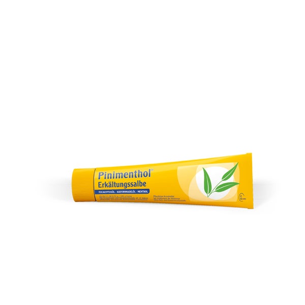 Pinimenthol Erkältungssalbe 100 g