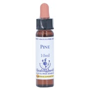 Bachblüten Pine Healing Herbs Tropfen 10 ml
