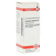 Leonurus Cardiaca D 4 Dilution 20 ml