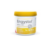Produktabbildung: Engystol ad Us.vet.tabletten 500 St