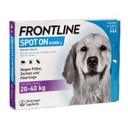 Produktabbildung: FRONTLINE SPOT-ON - Hund L 20-40 kg 3 St