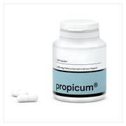 Propicum Kapseln 60 St