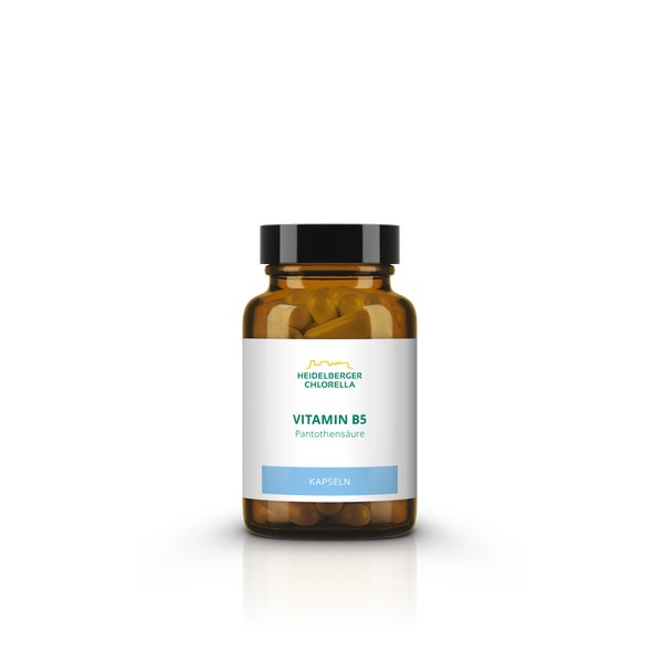 Vitamin B5 Kapseln 60 St