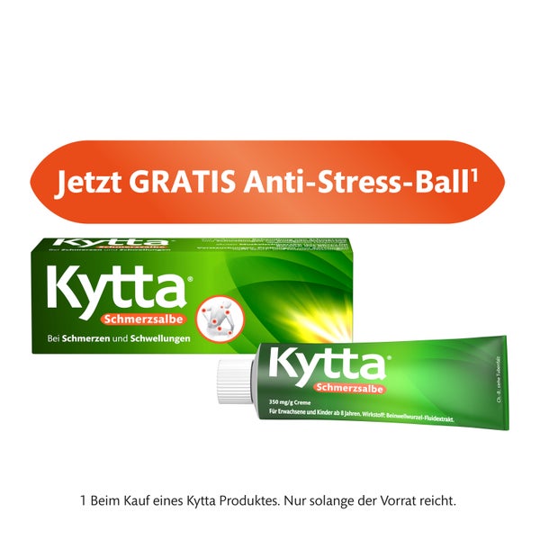 Kytta Schmerzsalbe 100 g