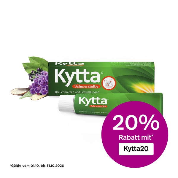 Kytta Schmerzsalbe 100 g