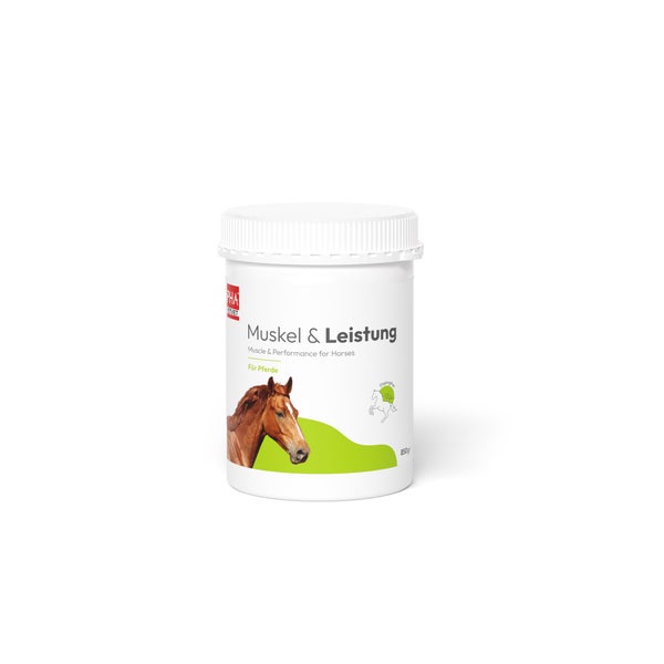 PHA Muskel & Leistung für Pferde 850 g