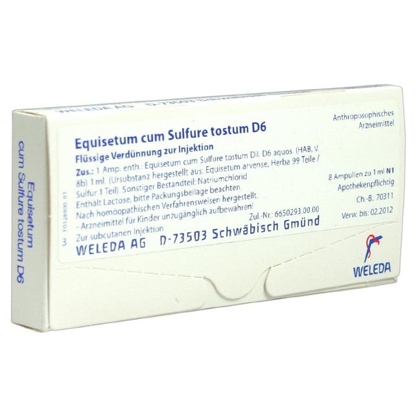 Equisetum CUM Sulfure tostum D 6 Ampulle 8X1 ml
