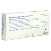 Produktabbildung: Equisetum CUM Sulfure tostum D 6 Ampulle 8X1 ml