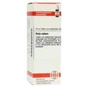 Produktabbildung: RUTA Extern Extrakt 20 ml