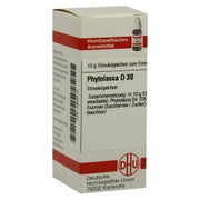 Produktabbildung: Phytolacca D 30 Globuli 10 g