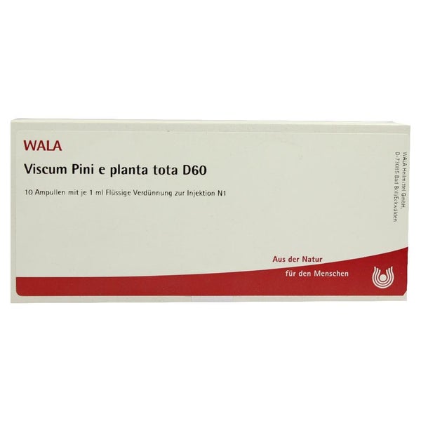 Viscum PINI e planta tota D 60 Ampullen 10X1 ml