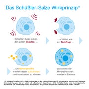 DHU Schüßler-Salz Nr. 7 Magnesium phosphoricum D12 200 St