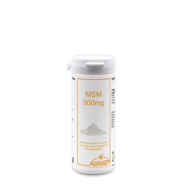 MSM 500 mg Kapseln 100 St