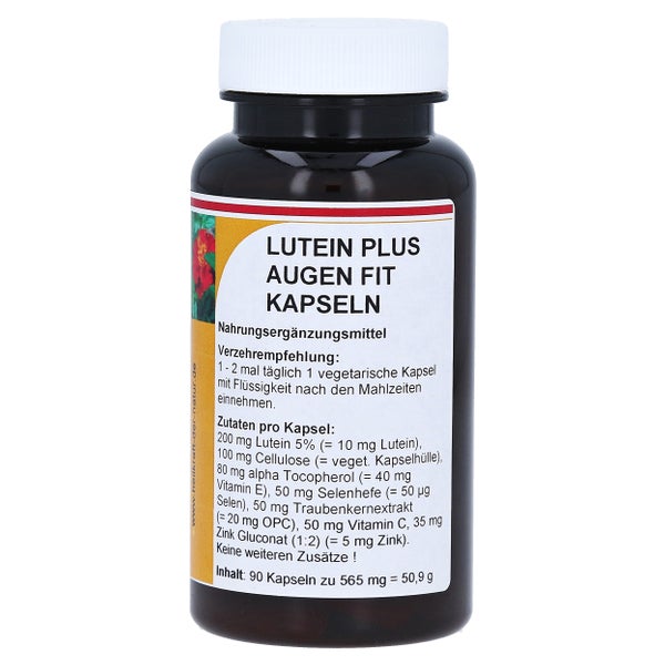 Lutein PLUS Augen Fit Kapseln 90 St