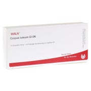 Produktabbildung: Corpus Luteum GL D 6 Ampullen 10X1 ml