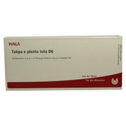 Produktabbildung: Tulipa e Planta tota D 6 Ampullen 10X1 ml