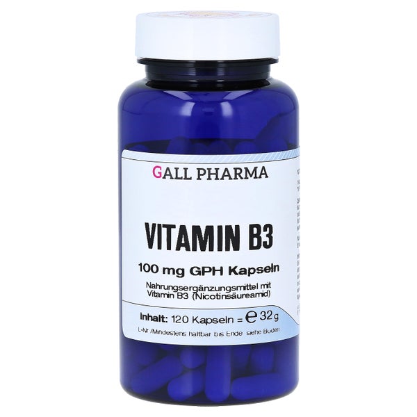 Vitamin B3 100 mg GPH Kapseln 120 St